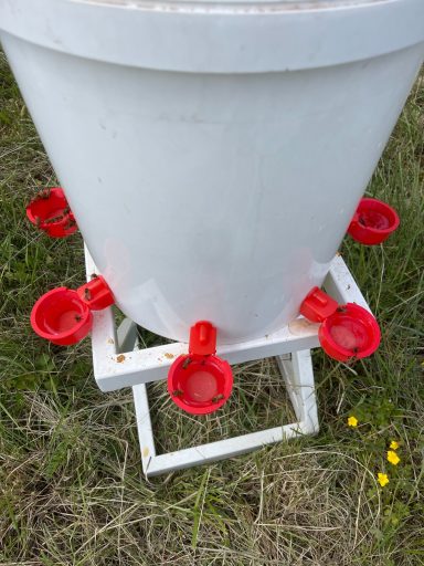 Rampes anti-noyade abreuvoir apicole Abreuvoir à poule détourné pour les abeilles avec des rampes anti noyade